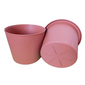 Oyama Planters - 5 ½"