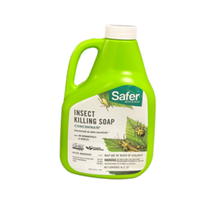 Safer Brand Insect Killing Soap Concentrate